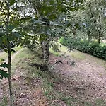 Paredes De Coura Villa Ferienhaus