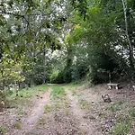 Paredes De Coura Villa *