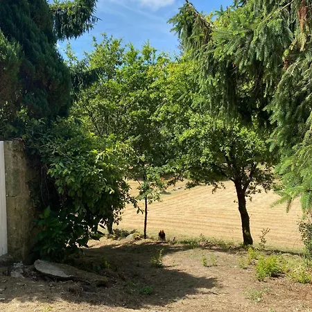 Paredes De Coura Villa Feriehus Paredes de Coura