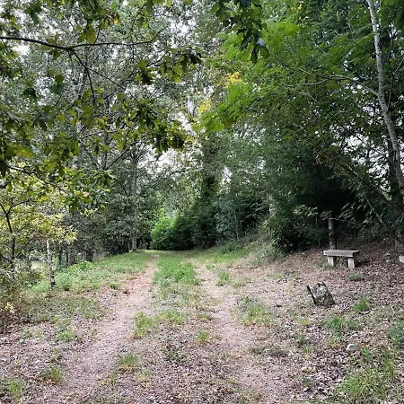 Paredes De Coura Villa *