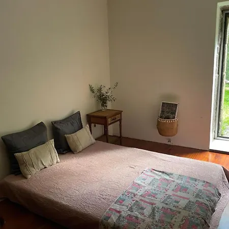 Paredes De Coura Villa 別荘