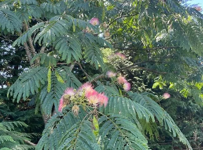 Paredes De Coura Villa Prázdninový dům