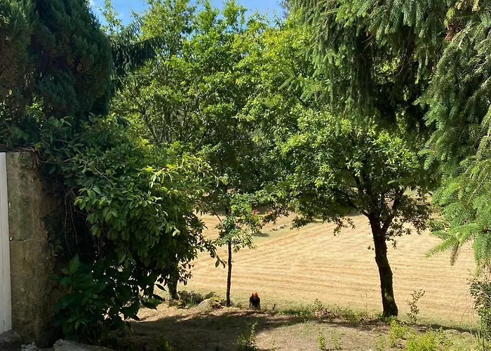 Paredes De Coura Villa 別荘 パレーデス・デ・コウラ