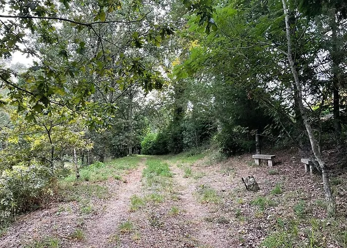 Paredes De Coura Villa *