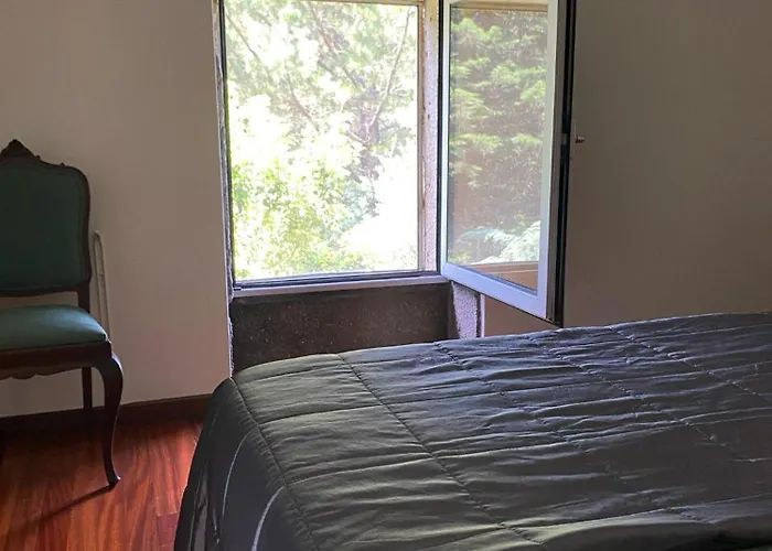 Paredes De Coura Villa 別荘 *